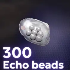 300 Echo Beads